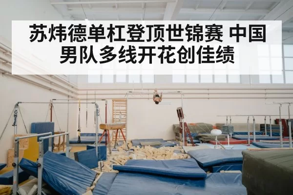 苏炜德单杠登顶世锦赛 中国男队多线开花创佳绩