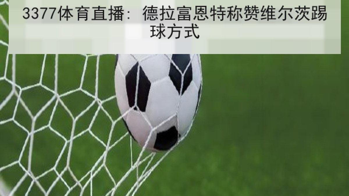 3377体育直播: 德拉富恩特称赞维尔茨踢球方式 3377体育直播: 德拉富恩特称赞维尔茨踢球方式